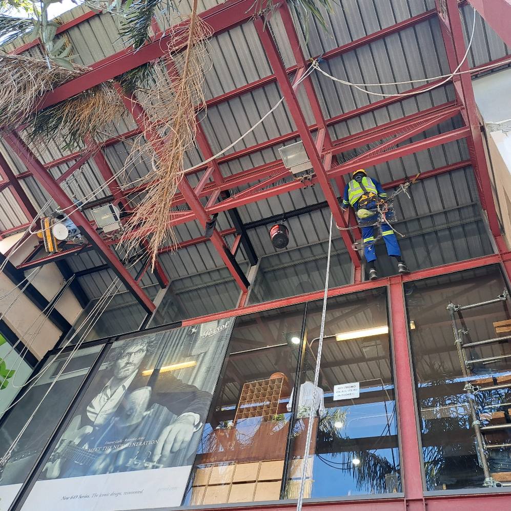 494068541-122123875346742141-7153613694677484276-n